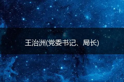 王治洲(党委书记、局长)