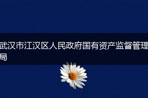 武汉市江汉区人民政府国有资产监督管理局