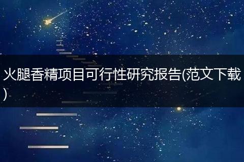 火腿香精项目可行性研究报告(范文下载)