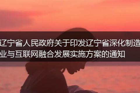 辽宁省人民政府关于印发辽宁省深化制造业与互联网融合发展实施方案的通知