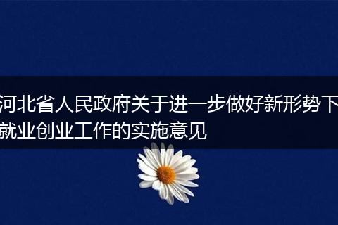 河北省人民政府关于进一步做好新形势下就业创业工作的实施意见