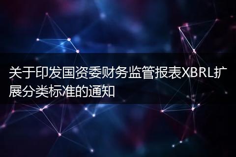 关于印发国资委财务监管报表XBRL扩展分类标准的通知