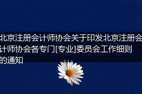 北京注册会计师协会关于印发北京注册会计师协会各专门[专业]委员会工作细则的通知