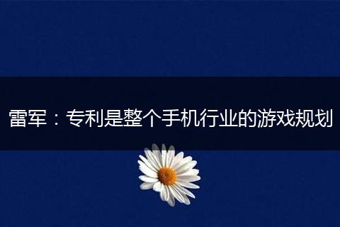 雷军：专利是整个手机行业的游戏规划