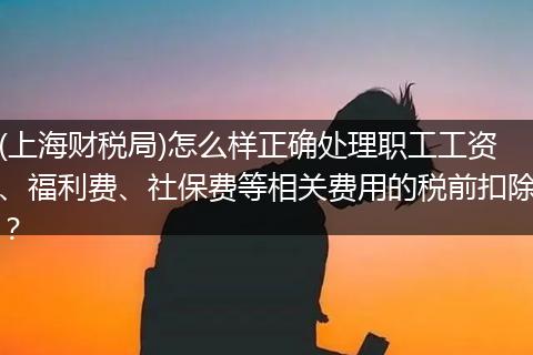 (上海财税局)怎么样正确处理职工工资、福利费、社保费等相关费用的税前扣除？