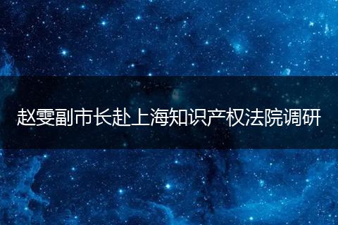 赵雯副市长赴上海知识产权法院调研