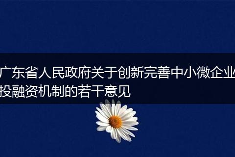 广东省人民政府关于创新完善中小微企业投融资机制的若干意见