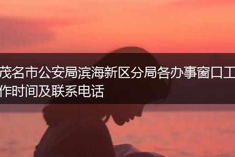 茂名市公安局滨海新区分局各办事窗口工作时间及联系电话