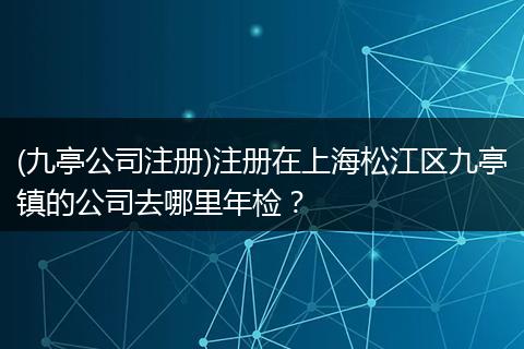 (九亭公司注册)注册在上海松江区九亭镇的公司去哪里年检?