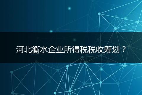 河北衡水企业所得税税收筹划？