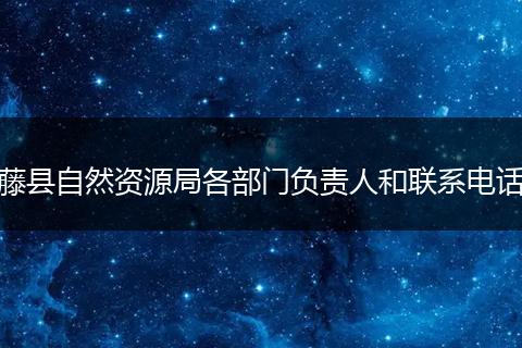 藤县自然资源局各部门负责人和联系电话