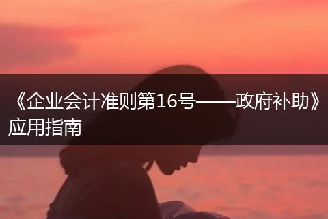 《企业会计准则第16号——政府补助》应用指南