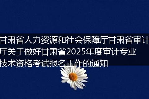甘肃省人力资源和社会保障厅甘肃省审计厅关于做好甘肃省2025年度审计专业技术资格考试报名工作的通知