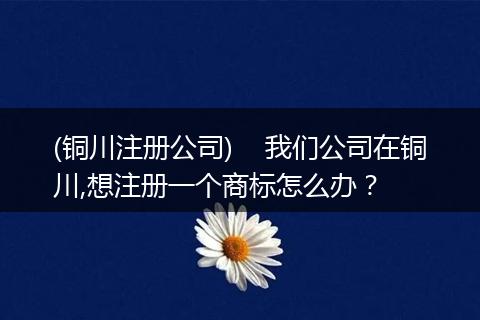 (铜川注册公司)    我们公司在铜川,想注册一个商标怎么办？