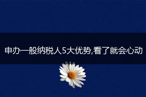 申办一般纳税人5大优势,看了就会心动