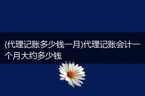 (代理记账多少钱一月)代理记账会计一个月大约多少钱