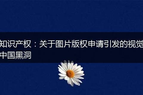 知识产权：关于图片版权申请引发的视觉中国黑洞
