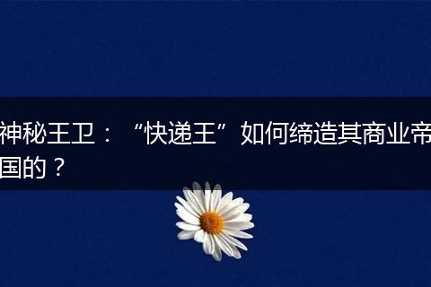 神秘王卫：“快递王”如何缔造其商业帝国的？
