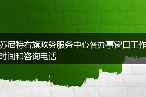 苏尼特右旗政务服务中心各办事窗口工作时间和咨询电话