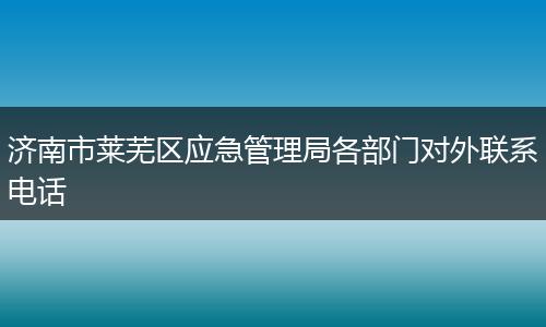 济南市莱芜区应急管理局各部门对外联系电话