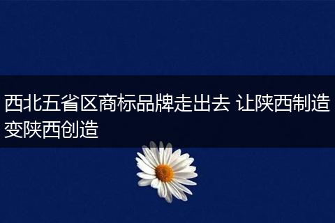 西北五省区商标品牌走出去 让陕西制造变陕西创造