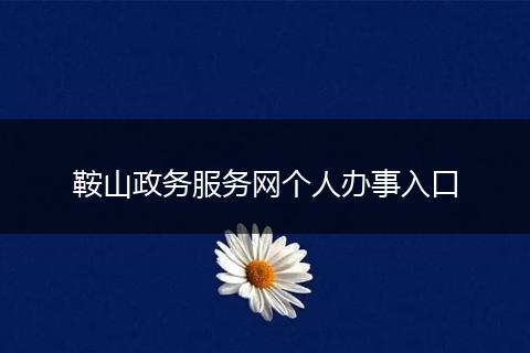 鞍山政务服务网个人办事入口