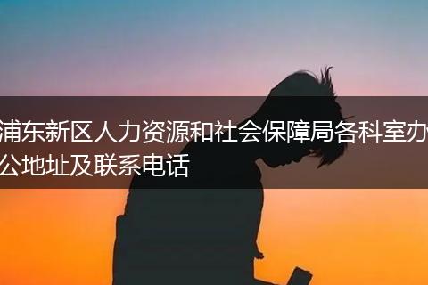 浦东新区人力资源和社会保障局各科室办公地址及联系电话