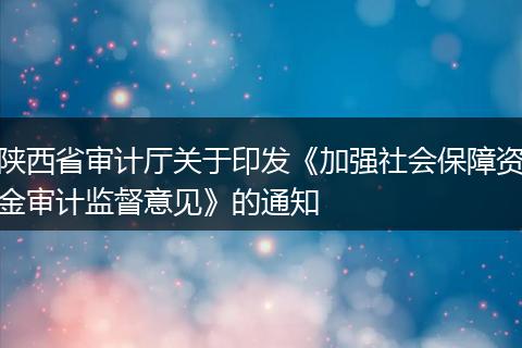 陕西省审计厅关于印发《加强社会保障资金审计监督意见》的通知