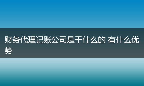 财务代理记账公司是干什么的 有什么优势