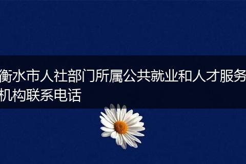 衡水市人社部门所属公共就业和人才服务机构联系电话