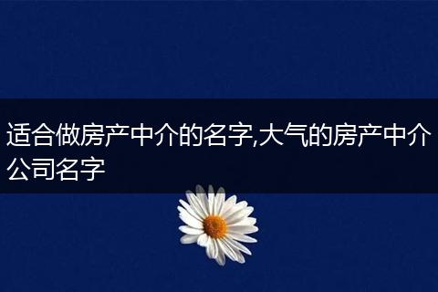 适合做房产中介的名字,大气的房产中介公司名字