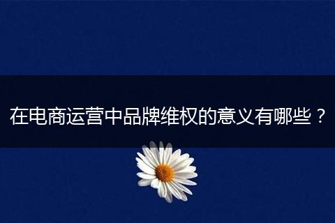 在电商运营中品牌维权的意义有哪些？