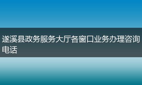 遂溪县政务服务大厅各窗口业务办理咨询电话
