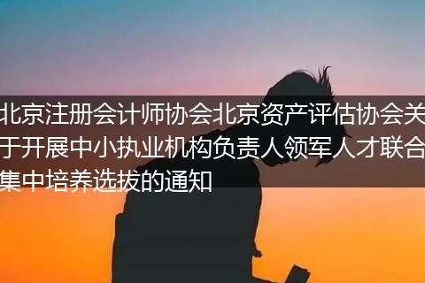 北京注册会计师协会北京资产评估协会关于开展中小执业机构负责人领军人才联合集中培养选拔的通知