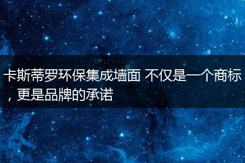卡斯蒂罗环保集成墙面 不仅是一个商标，更是品牌的承诺