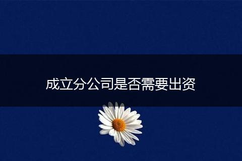 成立分公司是否需要出资