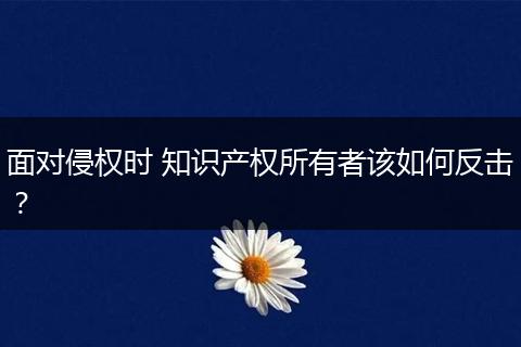 面对侵权时 知识产权所有者该如何反击？