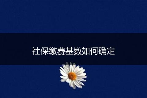 社保缴费基数如何确定