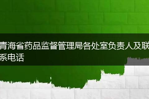 青海省药品监督管理局各处室负责人及联系电话