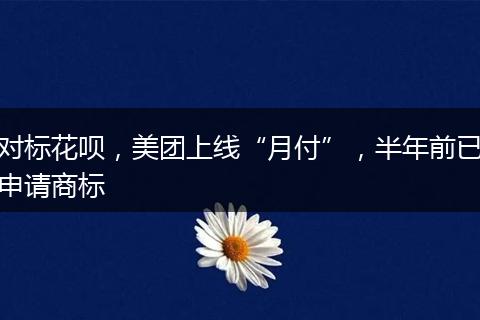 对标花呗，美团上线“月付”，半年前已申请商标
