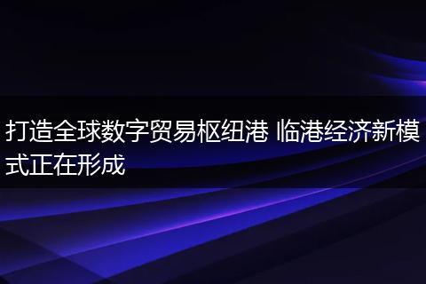 打造全球数字贸易枢纽港 临港经济新模式正在形成