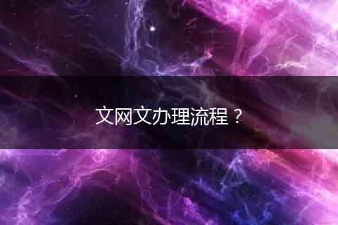 文网文办理流程？