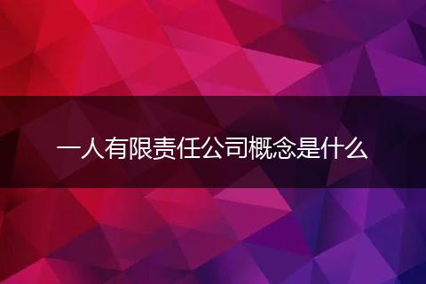 一人有限责任公司概念是什么