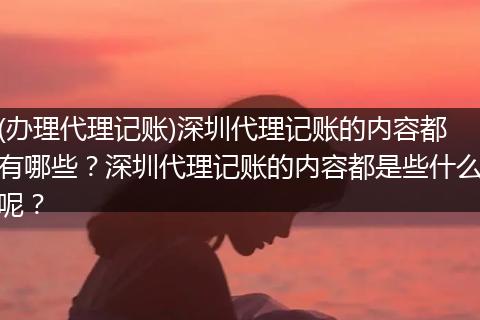 (办理代理记账)深圳代理记账的内容都有哪些?深圳代理记账的内容都是些什么呢?