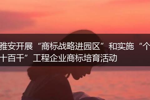 雅安开展“商标战略进园区”和实施“个十百千”工程企业商标培育活动