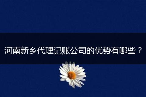 河南新乡代理记账公司的优势有哪些？