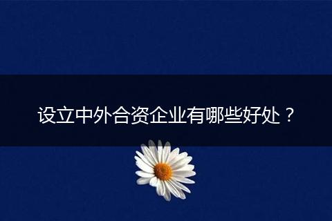 设立中外合资企业有哪些好处？