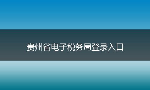 贵州省电子税务局登录入口