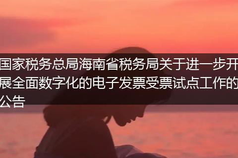 国家税务总局海南省税务局关于进一步开展全面数字化的电子发票受票试点工作的公告