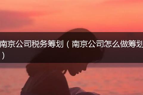 南京公司税务筹划(南京公司怎么做筹划)